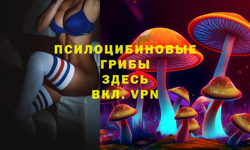 Псилоцибиновые грибы Cubensis  гидра как войти  Абакан 